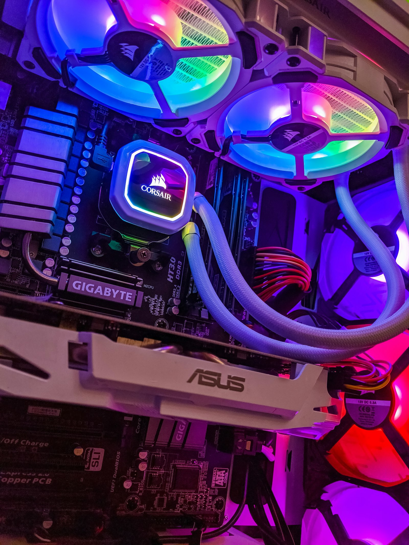 ARK: Survival Ascended cluster for a streamer collective